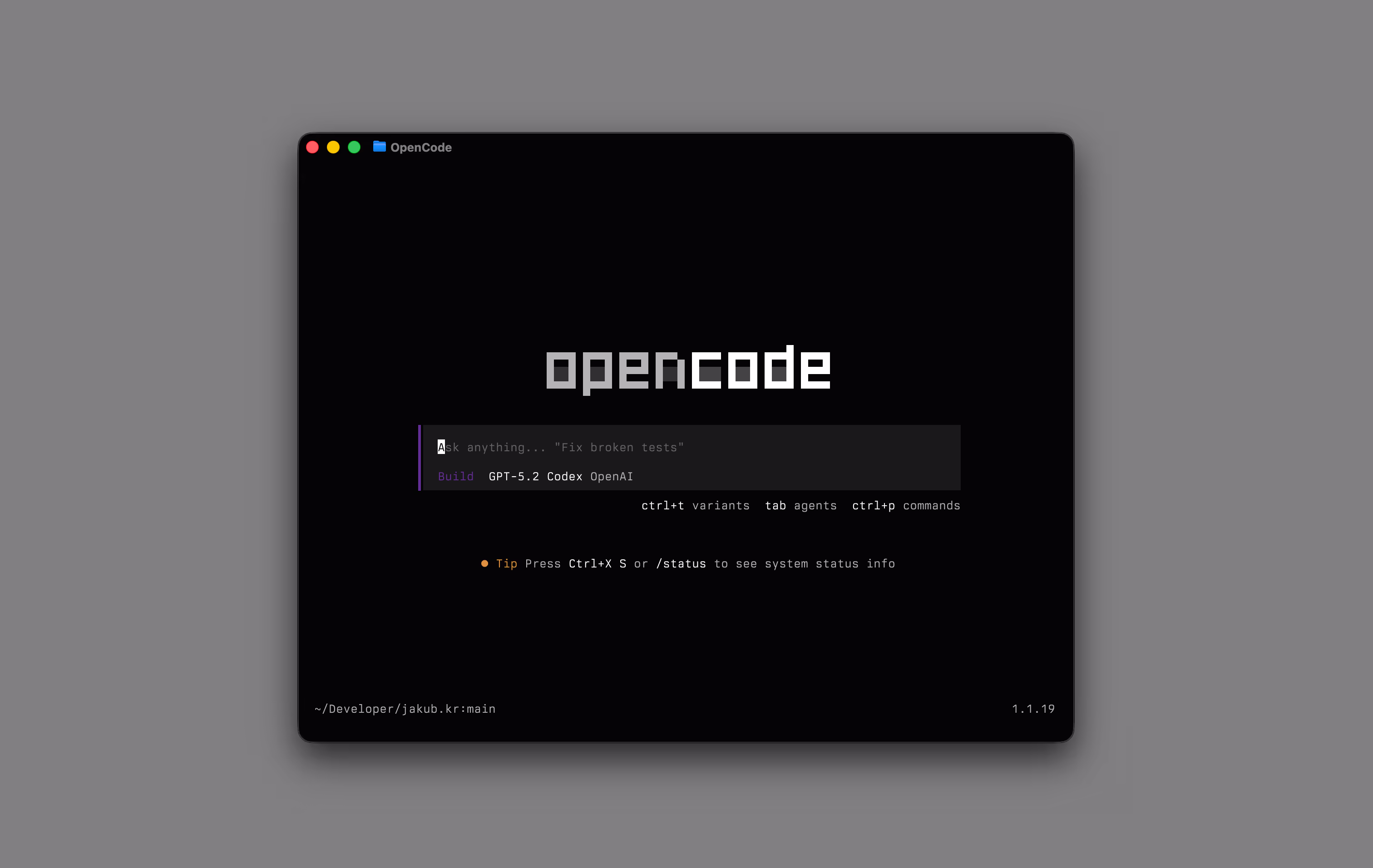 prompt-example